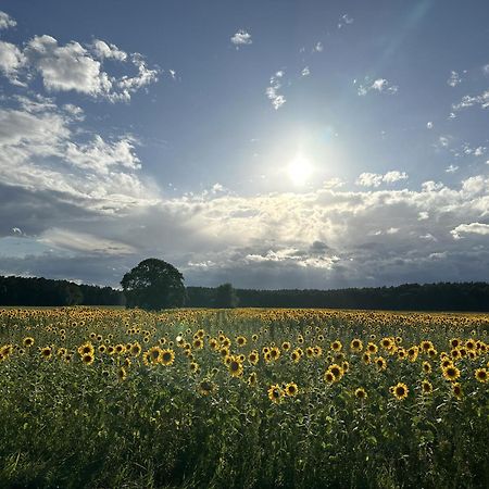 Apartmán Urlaub Auf Dem Land Triepkendorf Exteriér fotografie