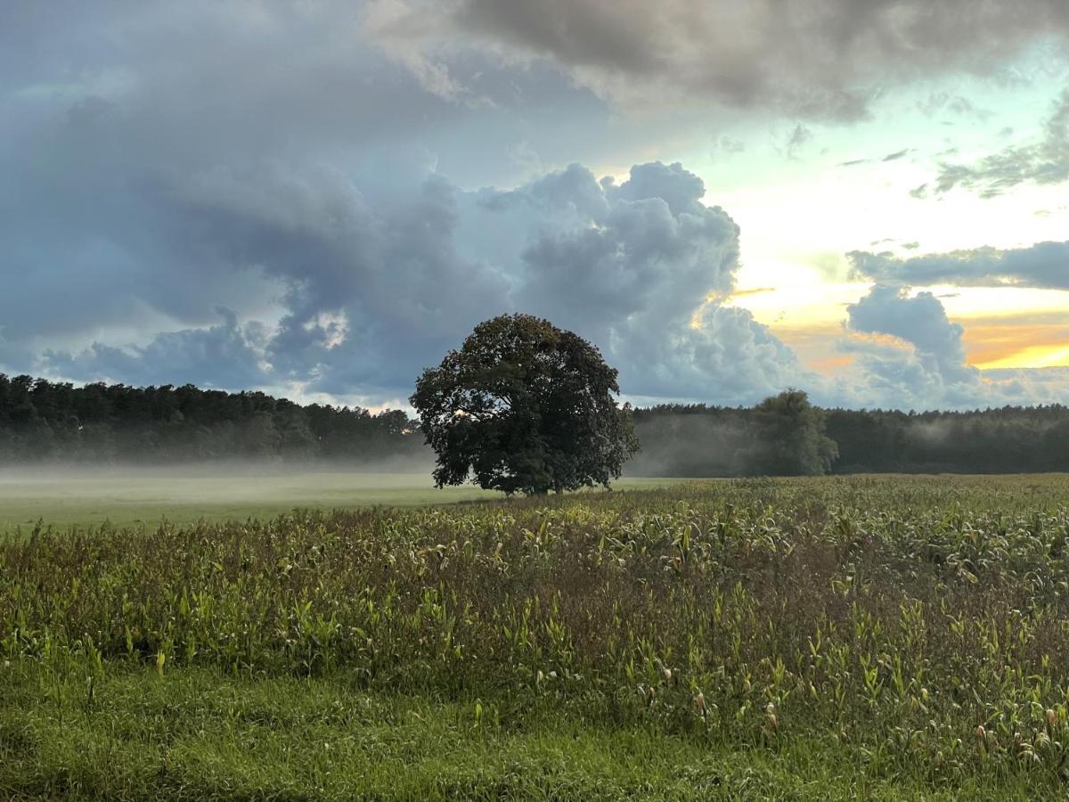 Apartmán Urlaub Auf Dem Land Triepkendorf Exteriér fotografie