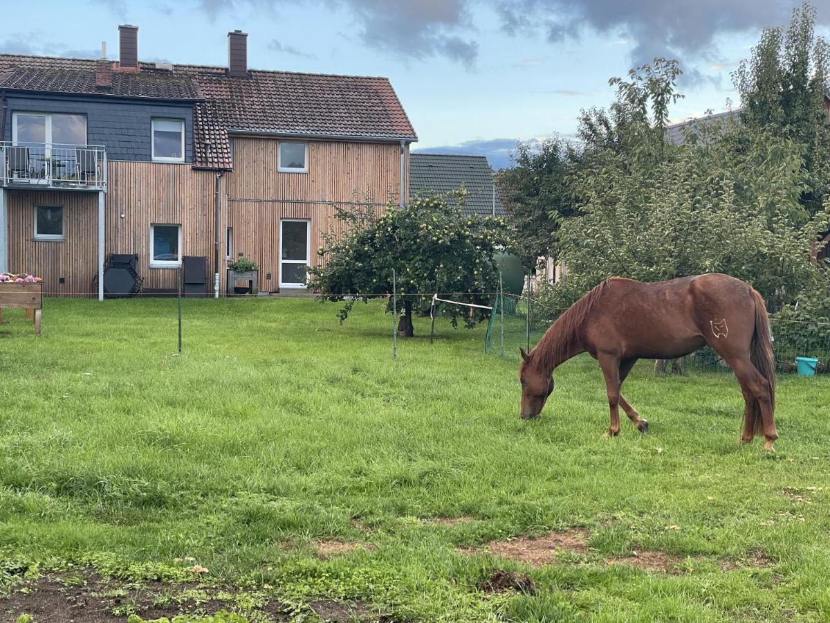 Apartmán Urlaub Auf Dem Land Triepkendorf Exteriér fotografie