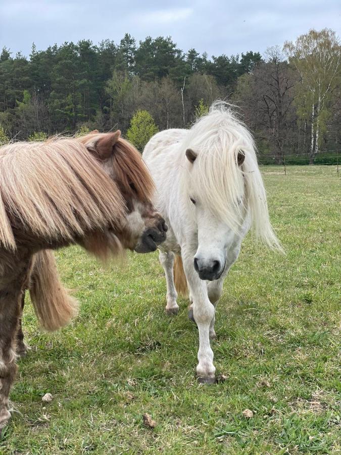 Apartmán Urlaub Auf Dem Land Triepkendorf Exteriér fotografie